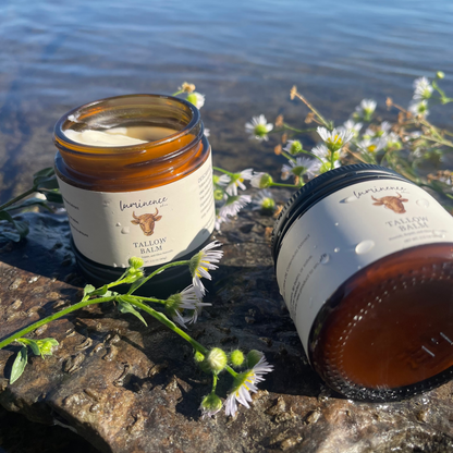 Tallow Balm